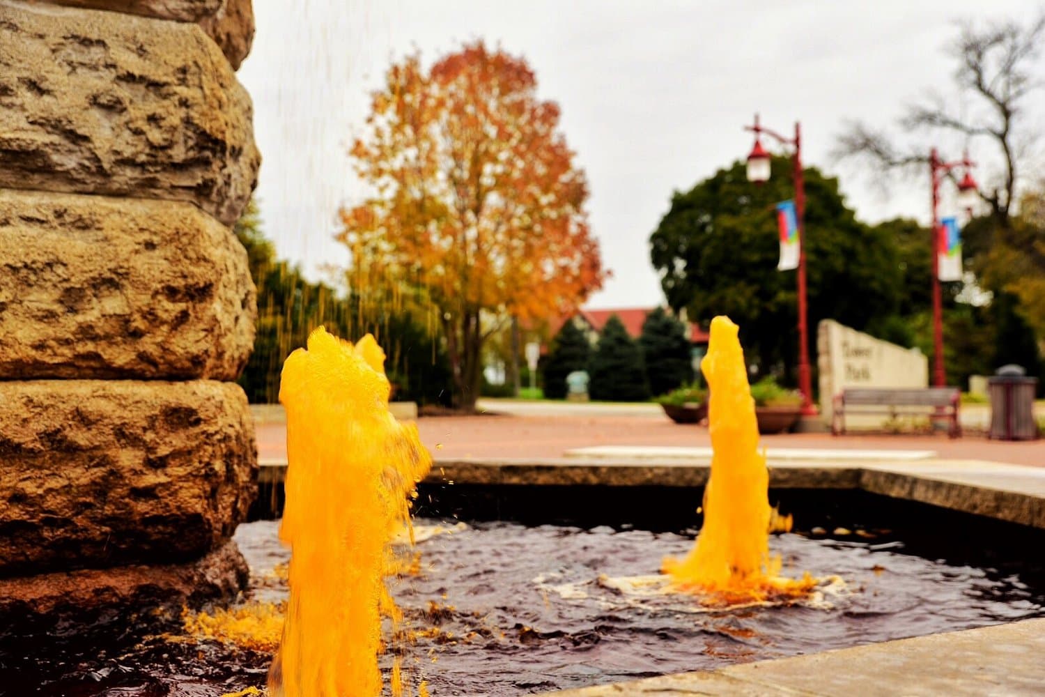 Tower Park during autumn